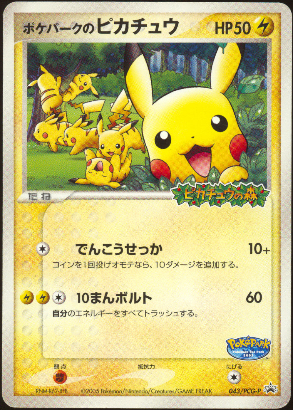 HP] PokePark's Pikachu 043/PCG-P - PokePark Grand Opening Promo
